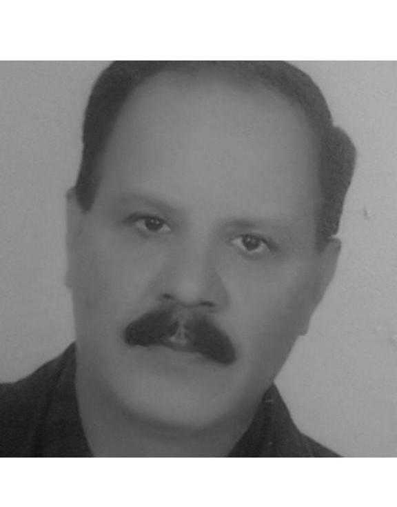 تصویر دکتر حشمت الله حقوقی فلوشیپ جراحی بینی و سینوس (رینولوژی) در شیراز